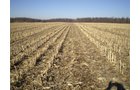 Property photo 31 - 159 Acres Offered in 7 Tracts